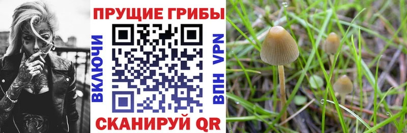 Галлюциногенные грибы Magic Shrooms  ссылка на мегу как войти  Касли 